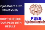 Punjab Board 10th Result 2025